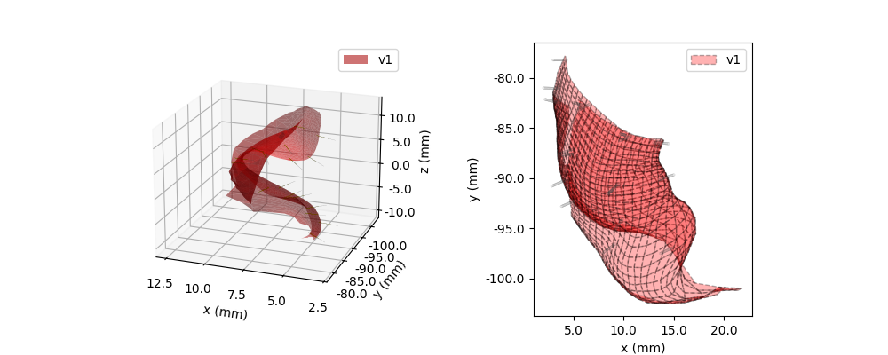 plot implants cortical